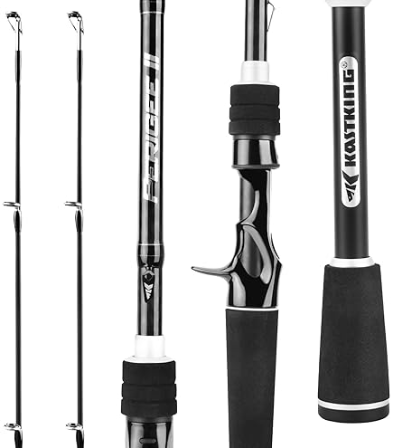 Amazon.com : Daiwa AIRX702MHFB Aird-X 10-20 lb Test Rod, Black